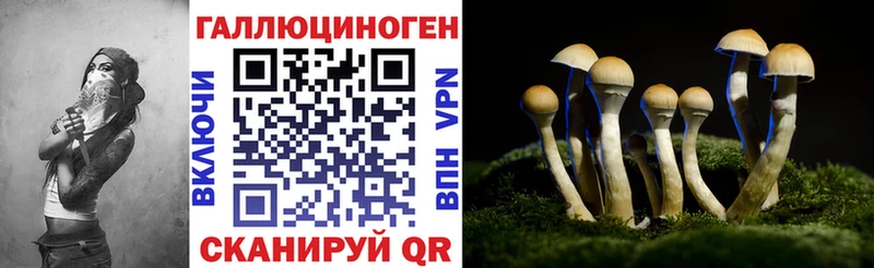 Псилоцибиновые грибы мицелий  Нижнекамск 